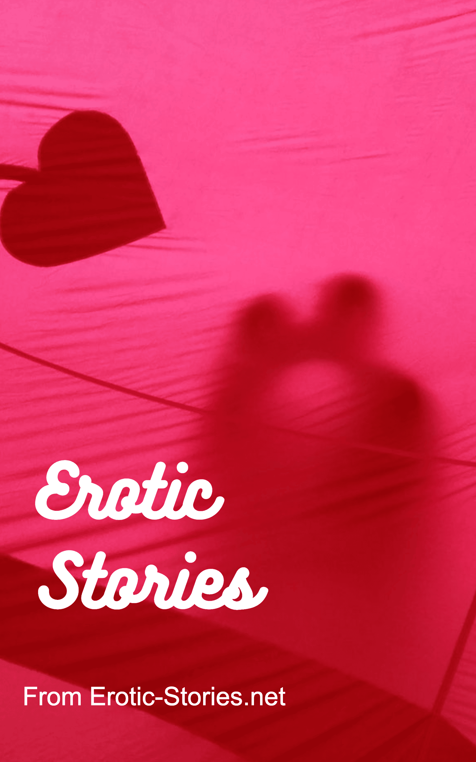 Erotic Stories Bokk Cover
